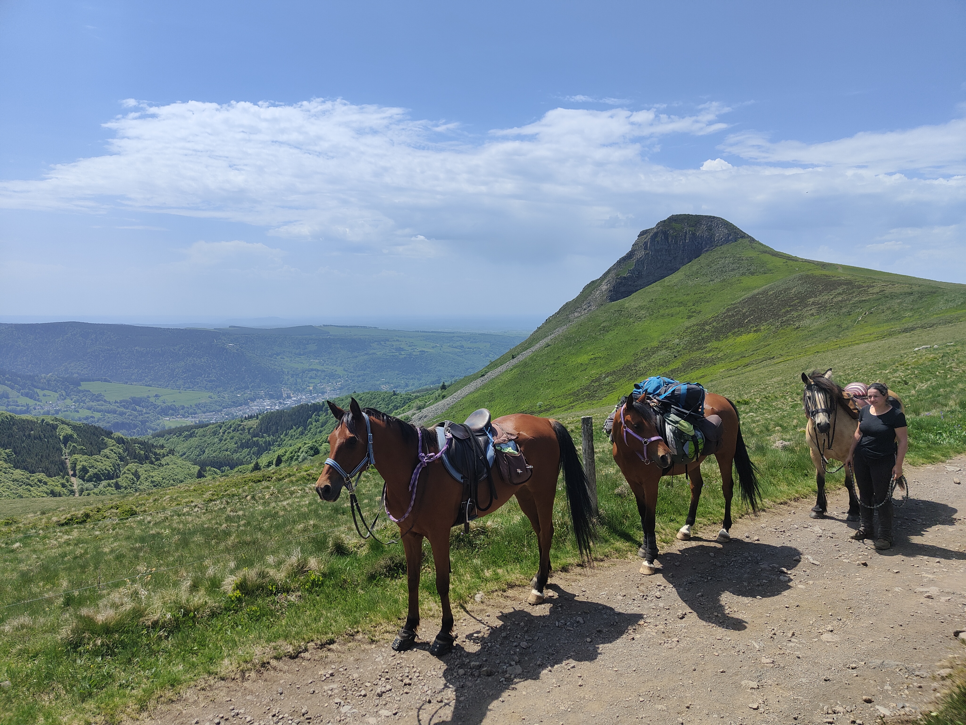 les crins en equi libre - randonnée massif cenrrale (1)