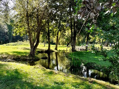 Les viviers du moulin de Langeais