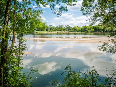 Bords de Loire