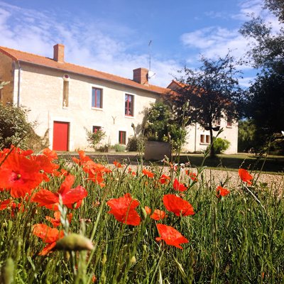 BRAYE-SOUS-FAYE-Gîte-aureposdeselfes