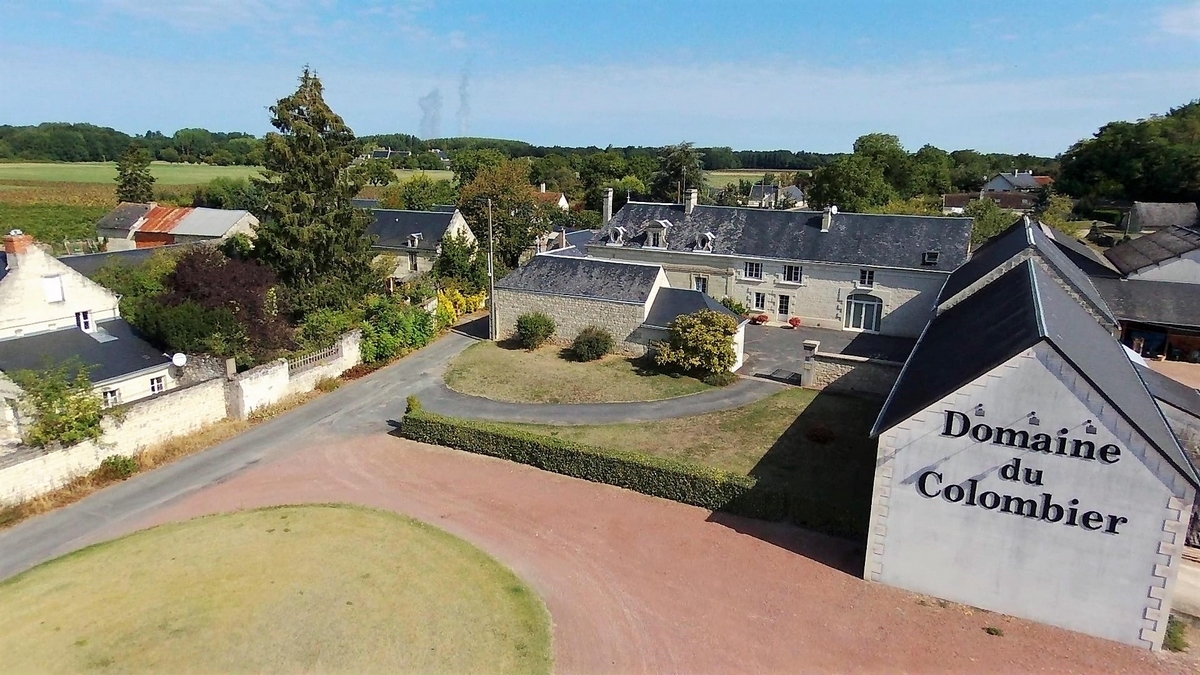 BEAUMONT EN VERON - Domaine colombier drone