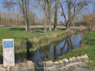 Pique Nique Champ de l'Abbé Ingrandes