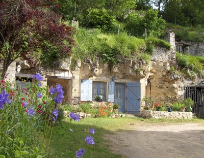 Figuier des badinons