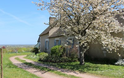 Vue sur le gite et son environnement