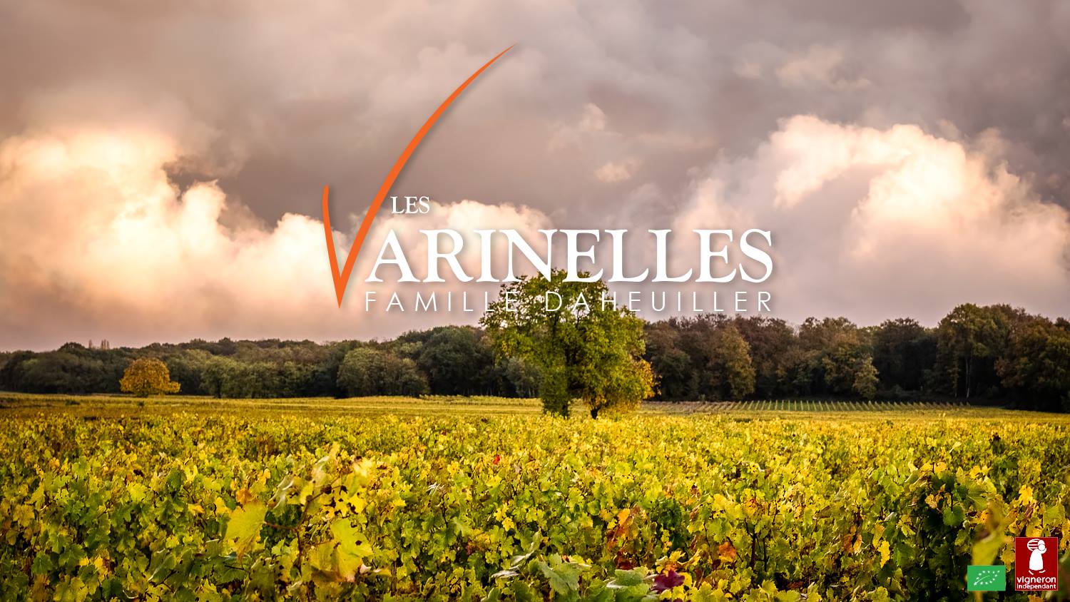 Domaine des Varinelles