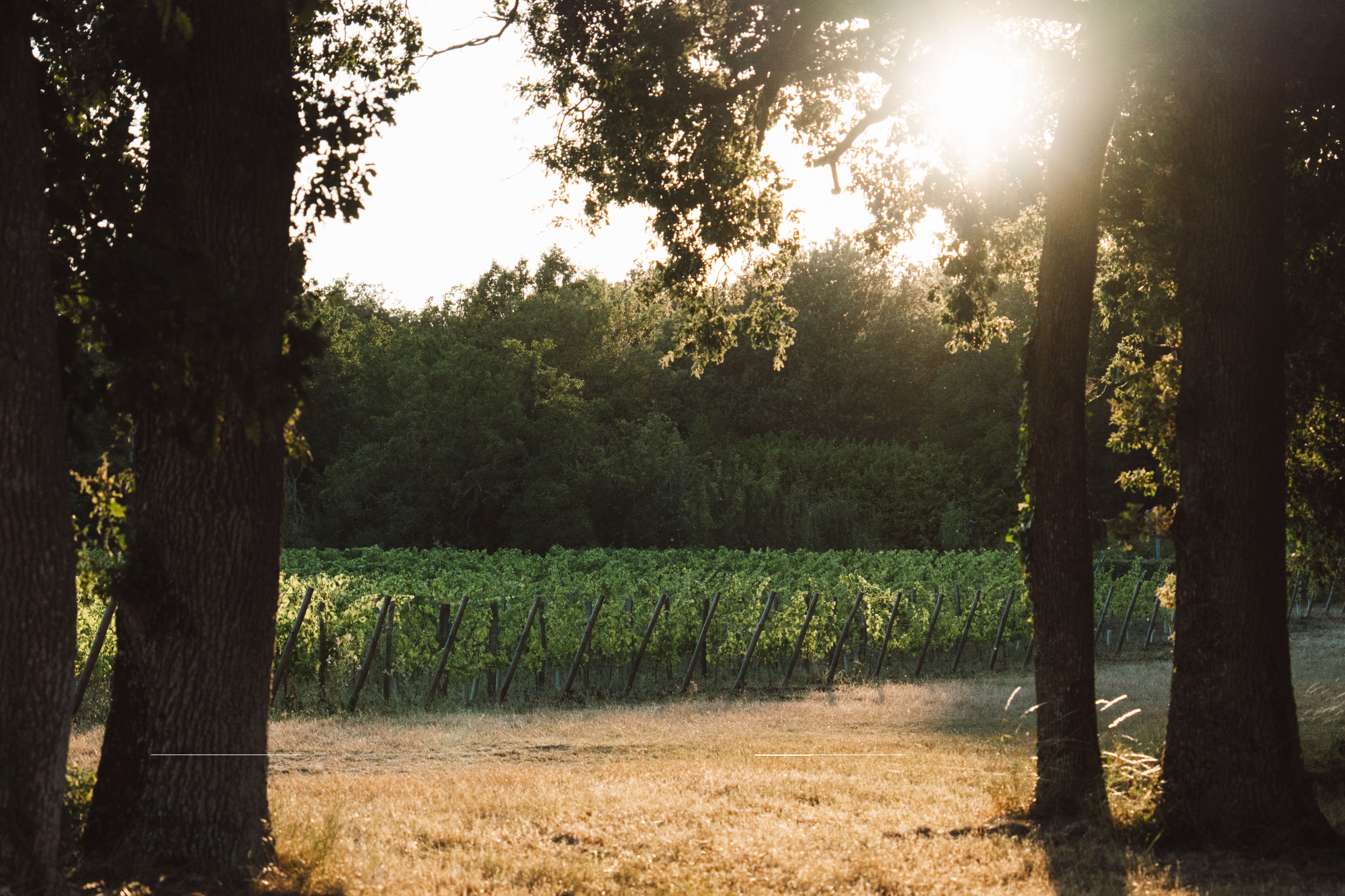 Clos St Florent