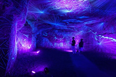 Caves Ackerman - Artiste Julien Salaud