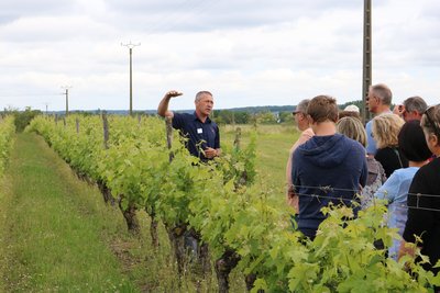 Domaine de la Grézille