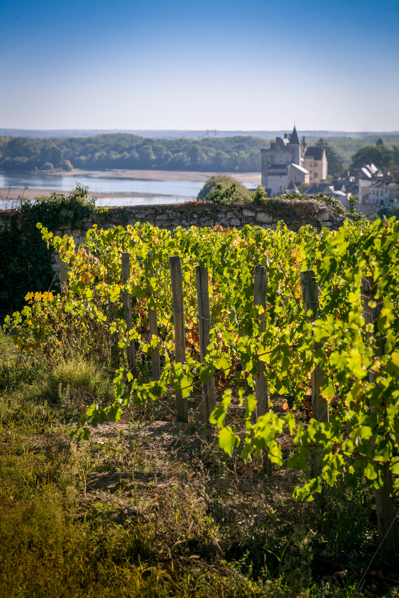 Domaine de la Perruche