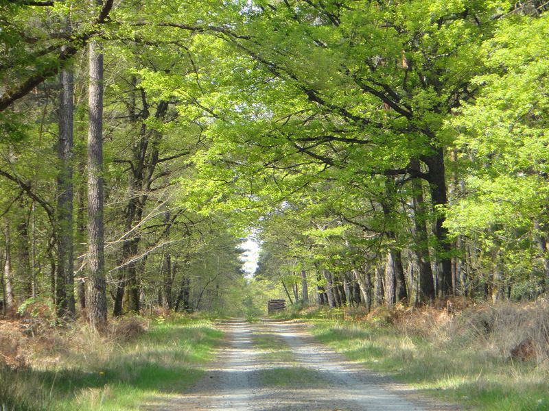 Val de Loire Écotourisme