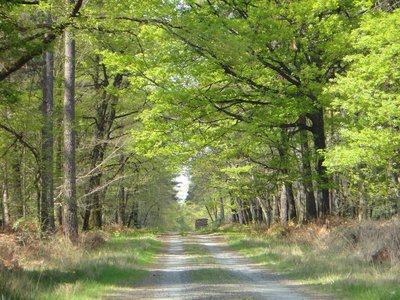 Val de Loire Écotourisme