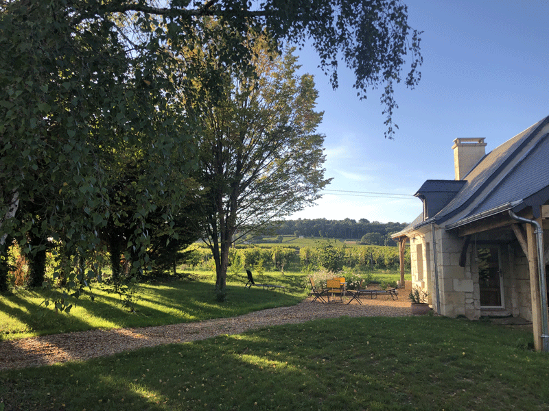 La cabane de vigne