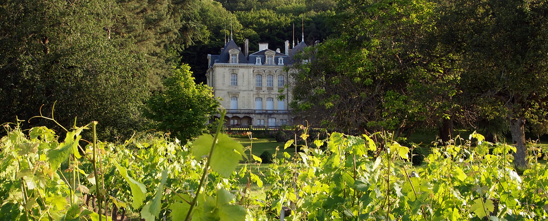 Chinon - Viticuleur - Chateau-de-vaugaudry site web