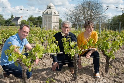ACVL-PANZOULT-Domaine Charles PAIN