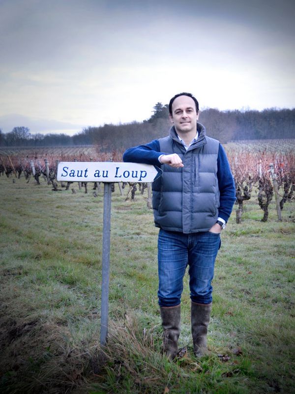 Domaine du Saut au Loup, à Ligré - Eric Santier - AOC chinon