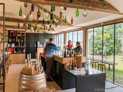 Dégustation des vins du Château de Minière - Coteaux-sur-Loire