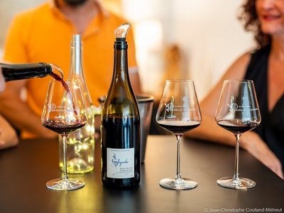 Vignoble de la Jarnoterie - Saint-Nicolas-de-Bourgueil