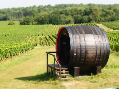 Aire de Pique Nique du Mont Sigou, Ingrandes-de-Touraine