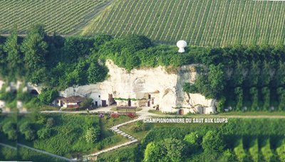 RESTAURANT Montsoreau Au Saut au Loup