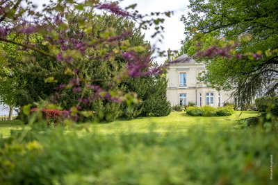 Domaine Beaumont - Maison d'Hôtes Vigneronne