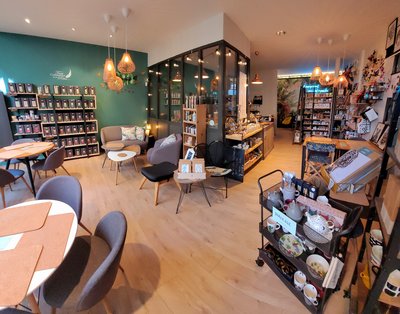 Le colibri fait son nid