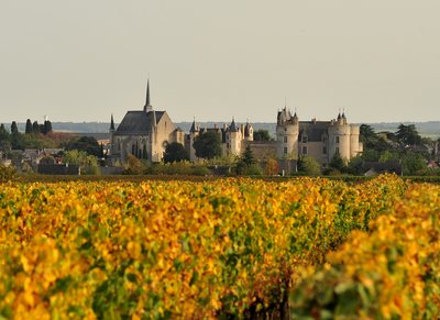 Domaine du château de montreuil-bellay