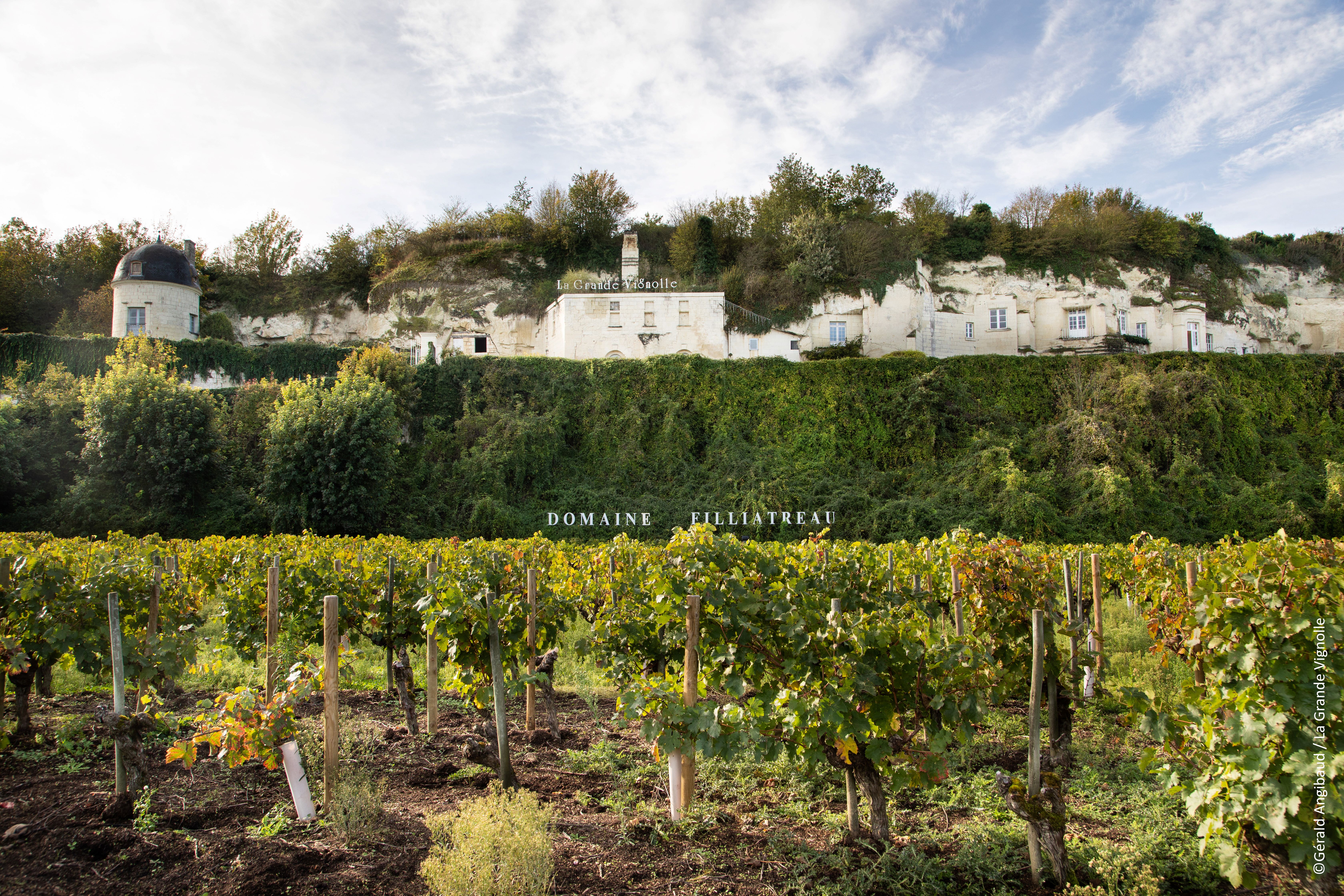 Domaine Filliatreau