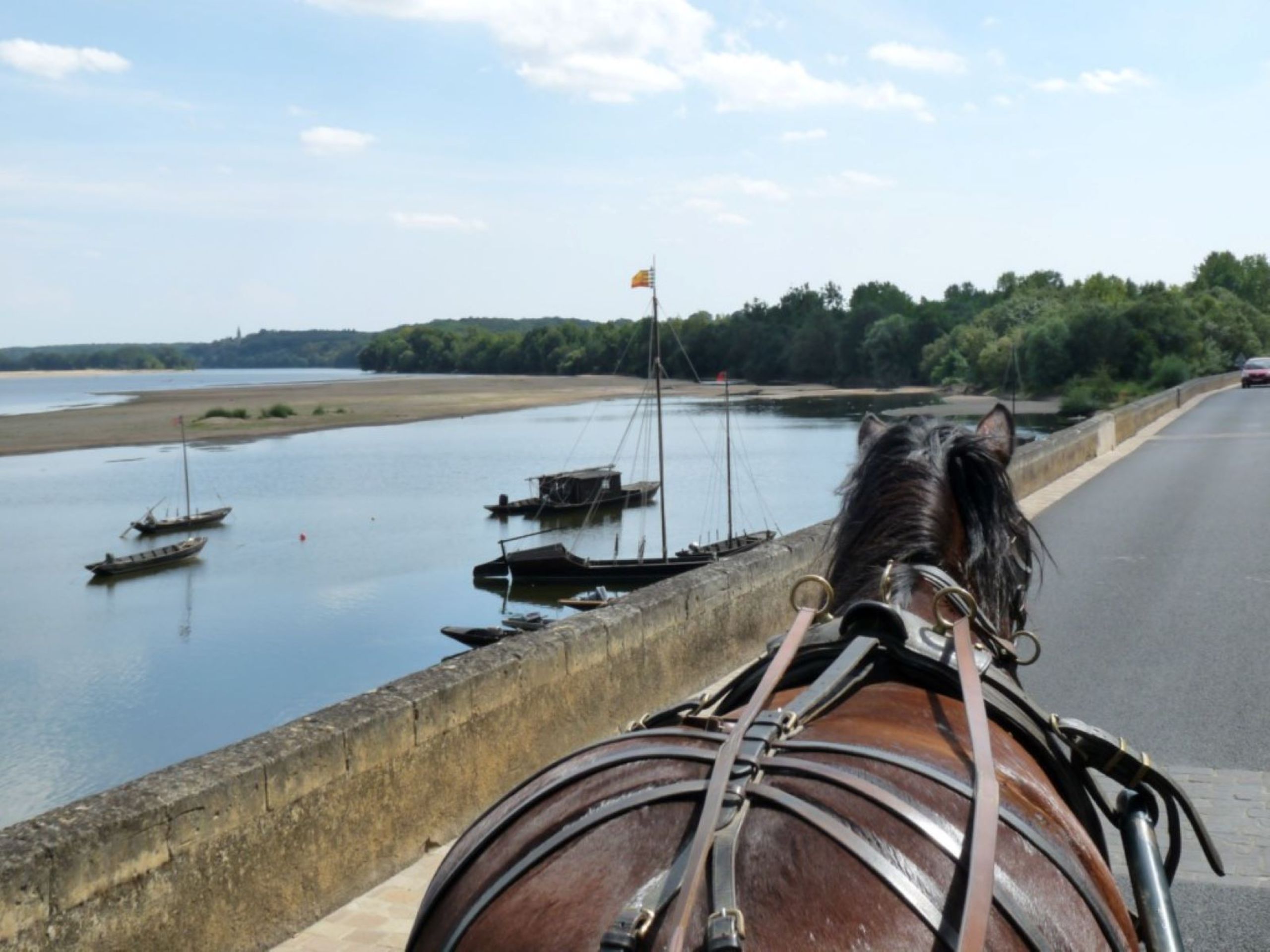 cheval et Loire