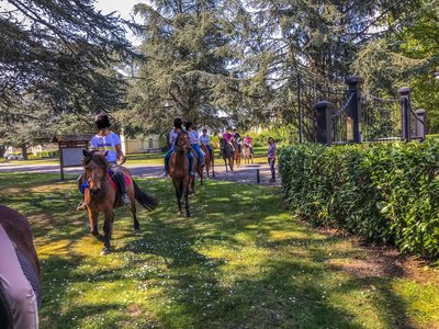 Haras des Ouches
