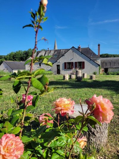 Bulle de Campagne_1