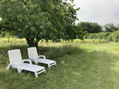 SAINT-GERMAIN-SUR-VIENNE-FERME DE LA BASSE COUR (1)