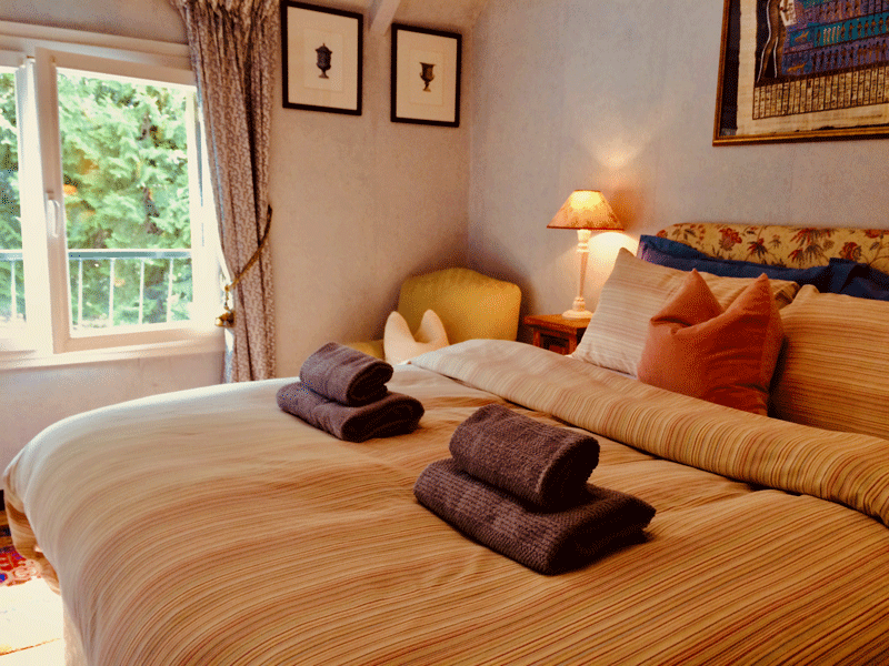 Chambre le Clos Rabelais