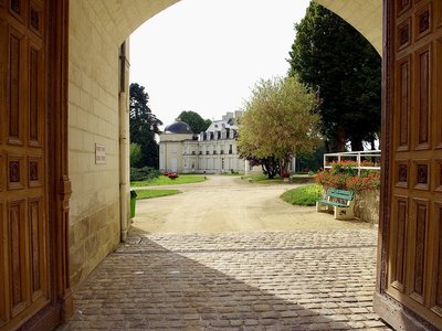 Chateau royal de Benays - Benais