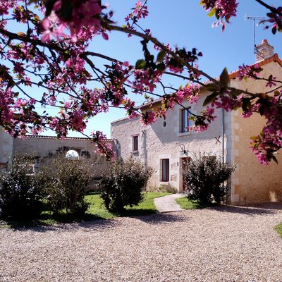 BRAYE-SOUS-FAYE-Au repos des elfes (13)