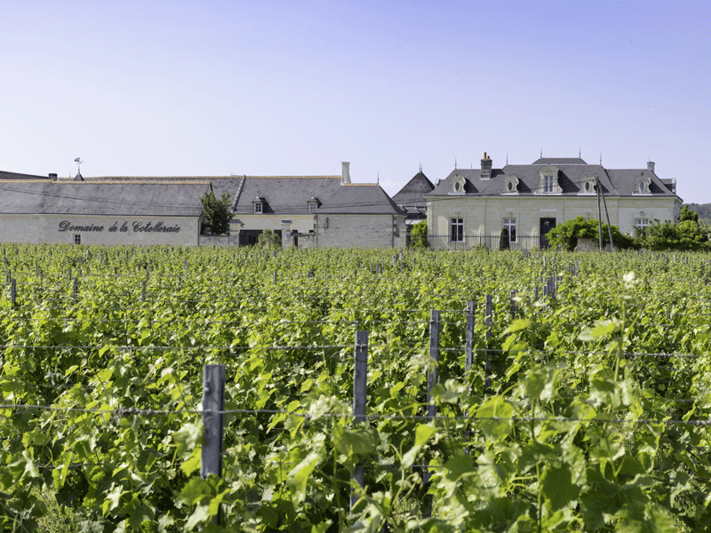 Domaine de la Cotelleraie