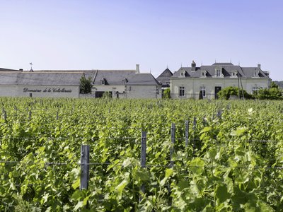 Domaine de la Cotelleraie