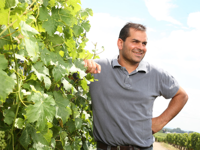domaine-cognard-bourgueil-credit-mdv
