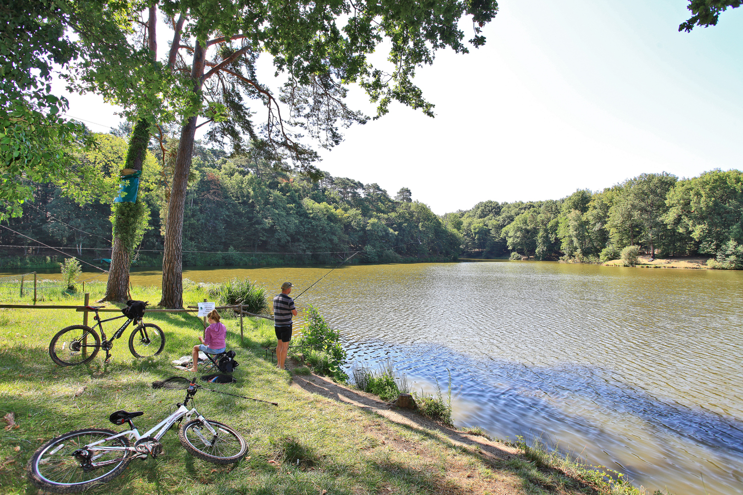 Lac du Parc de Fierbois en Terres d'Azay Chinon Val de Loire en Touraine