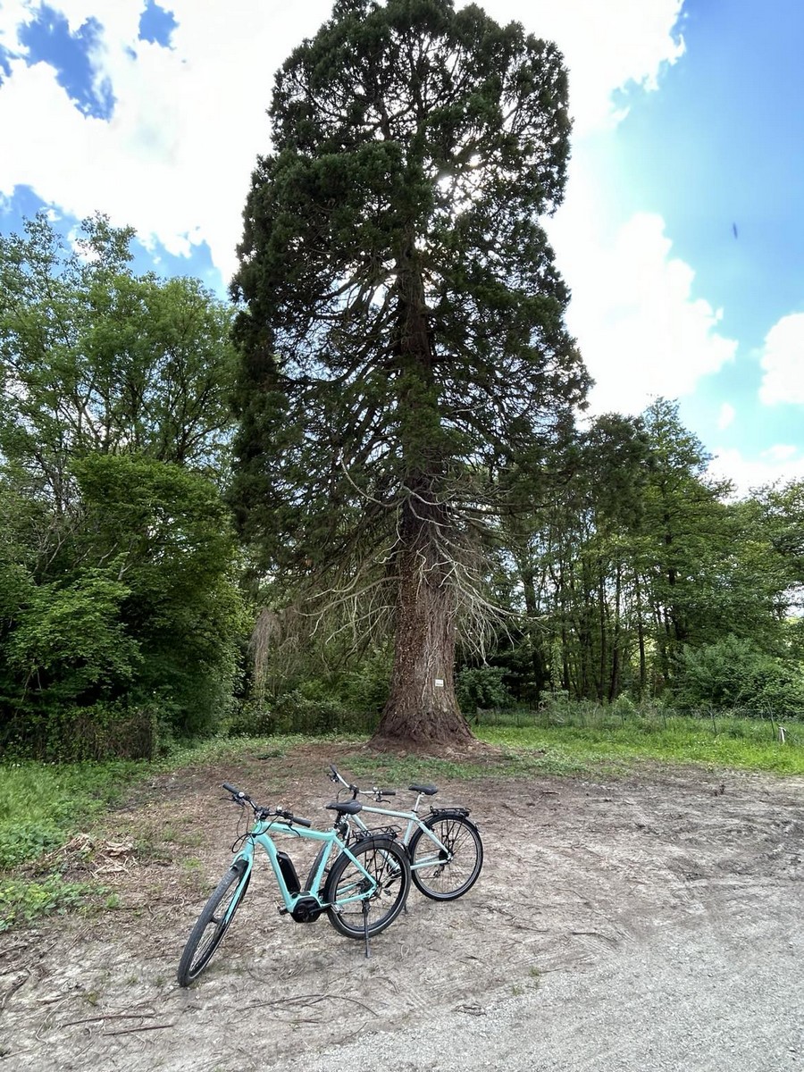 ACVL -Azay-le-Rideau - Azay-le-Rideau Cycles (2)