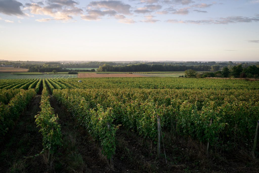 L'Enchentoir