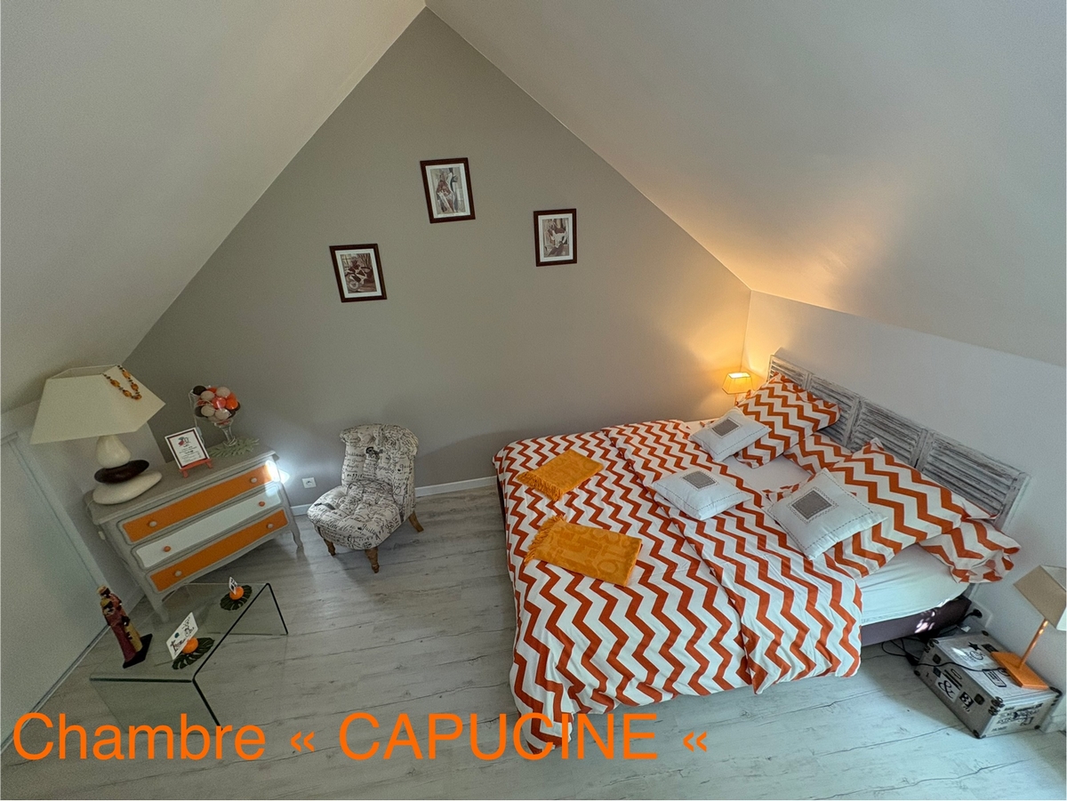 ACVL-CHOUZE SUR LOIRE- AU PASSAGE 37