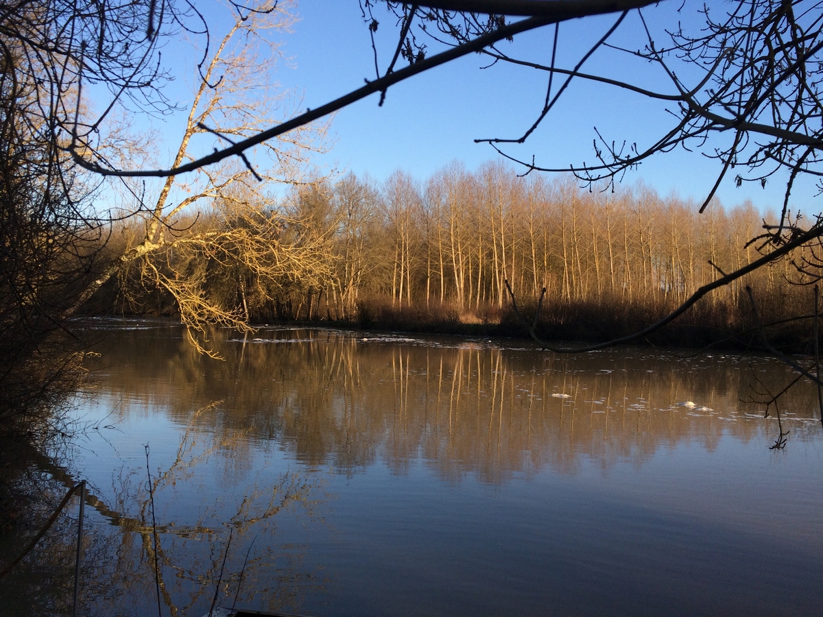SACHE-LYS EN VAL- gîte (23)