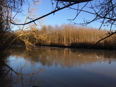 SACHE-LYS EN VAL- gîte (23)