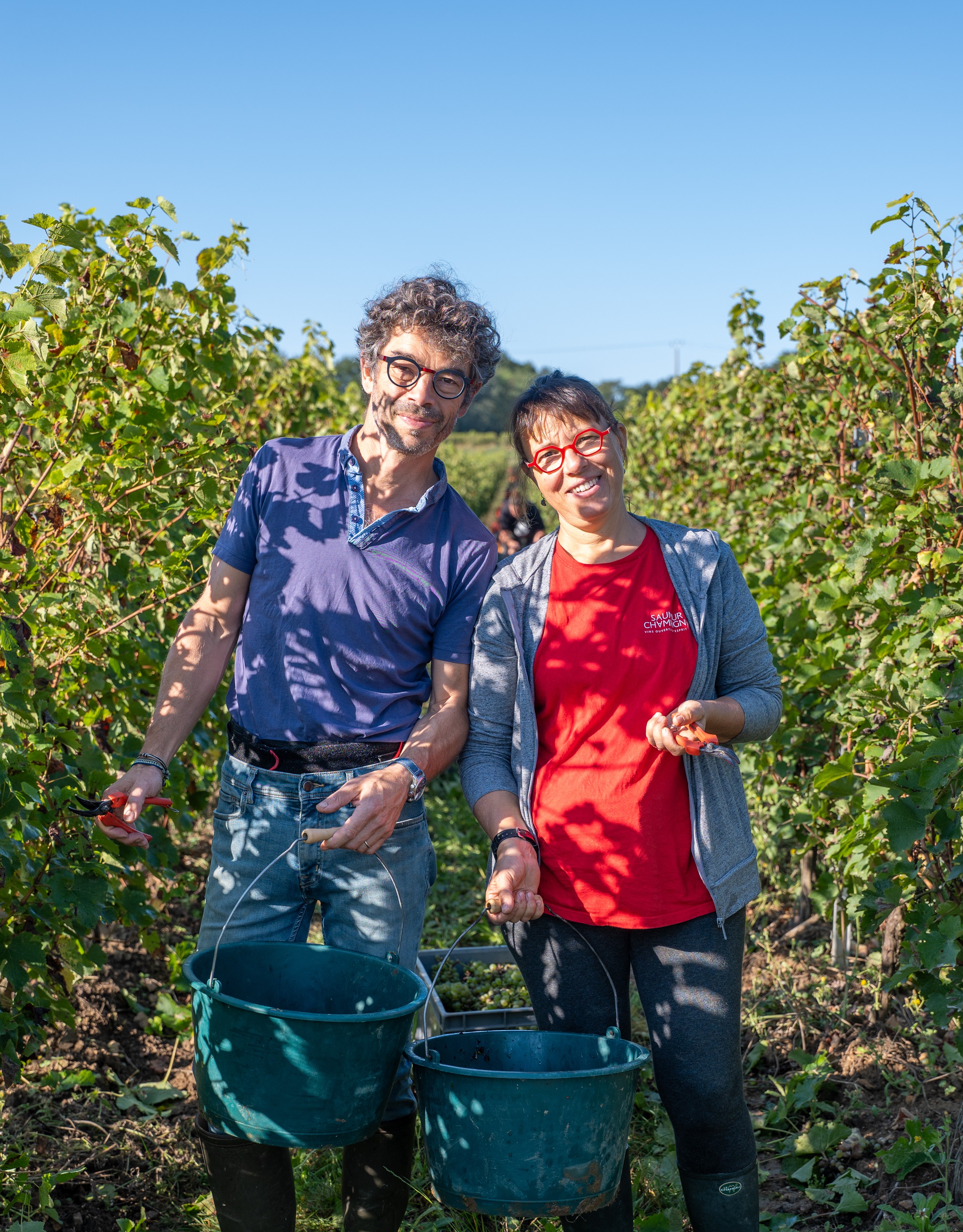 Domaine des Coutures_Turquant