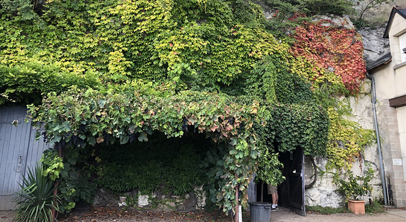 DomaineduFossile_Chai_Web