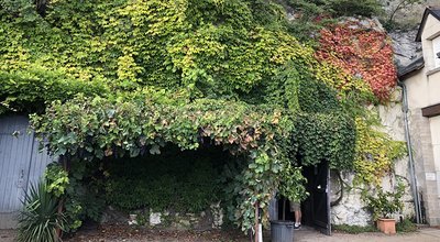 DomaineduFossile_Chai_Web