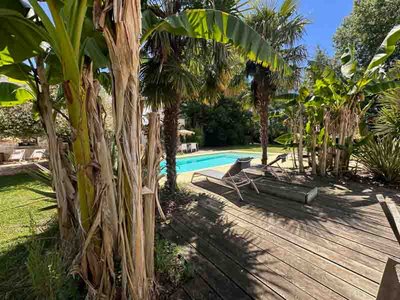 Au coeur des Vignes - Coteau-sur-Loire