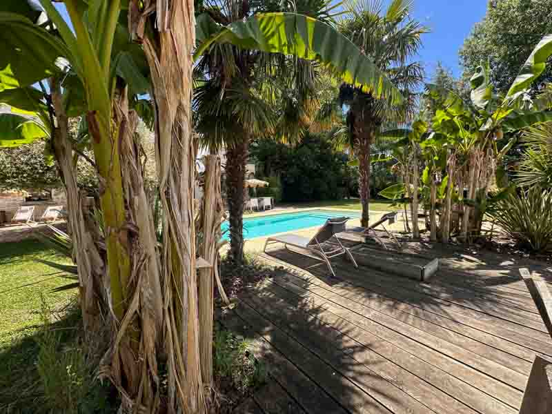 Au coeur des Vignes - Coteau-sur-Loire