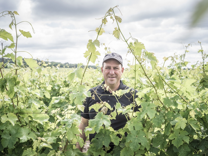 DOMAINE JEROME DELANOUE SAINT NICOLAS DE BOURGUEIL