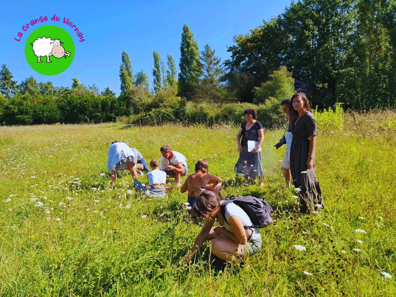 Eco lieu la grange du Viornay
